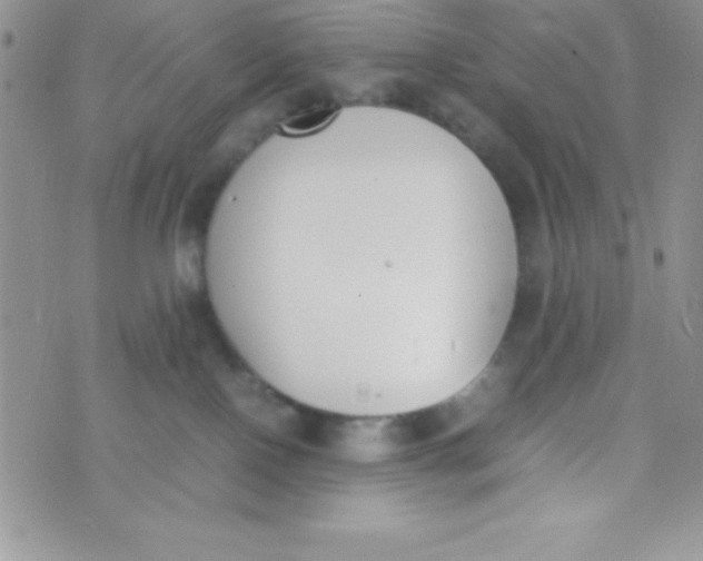 X0000074310090200609152018