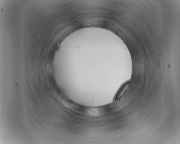 X0000074310091200609152018