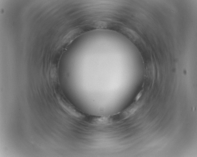 X0000074310092200609152018