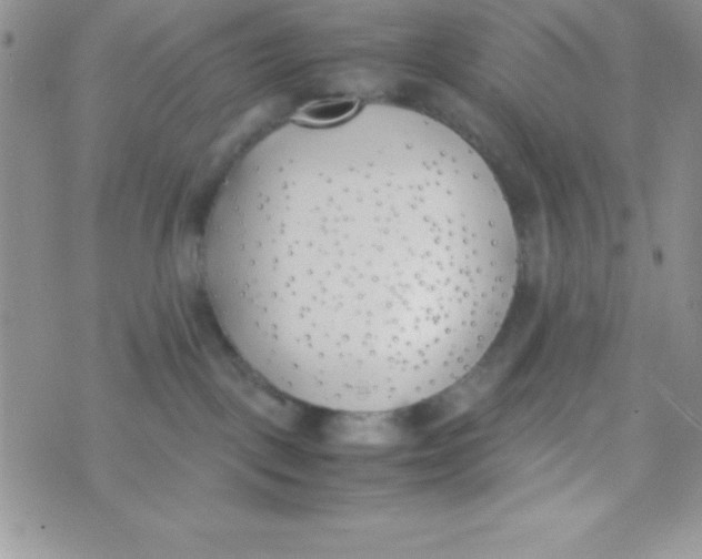 X0000074310093200609152018