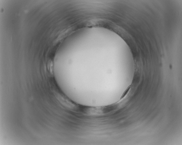 X0000074310094200609152018