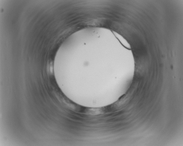 X0000074310095200609152018