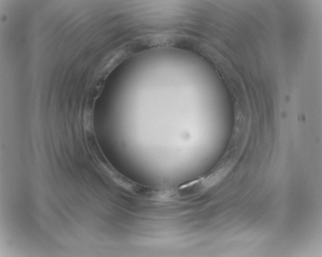 X0000074310096200609152018