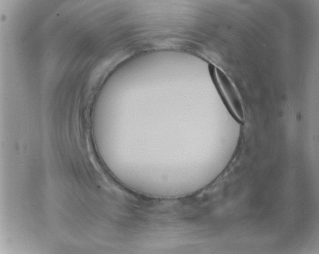 X0000074310097200609152017