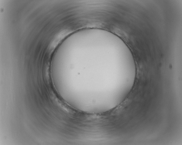 X0000074310098200609152017