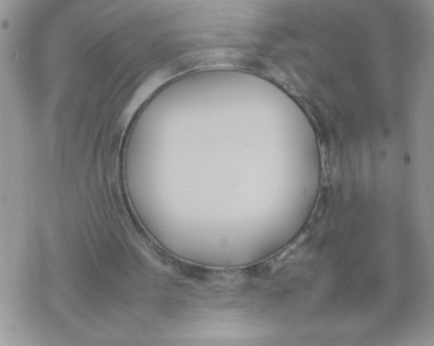 X0000074310099200609152017