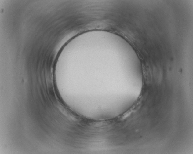 X0000074310100200609152017