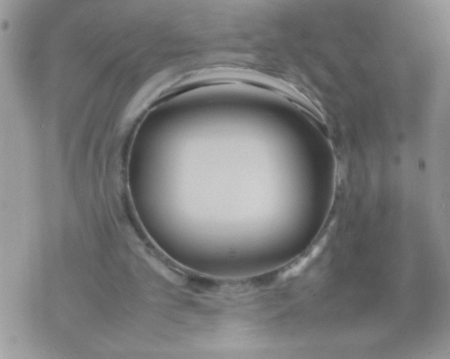 X0000074310101200609152017