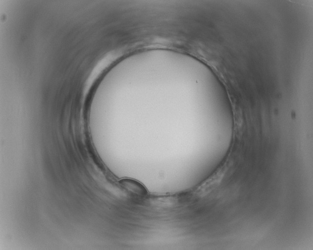 X0000074310102200609152017