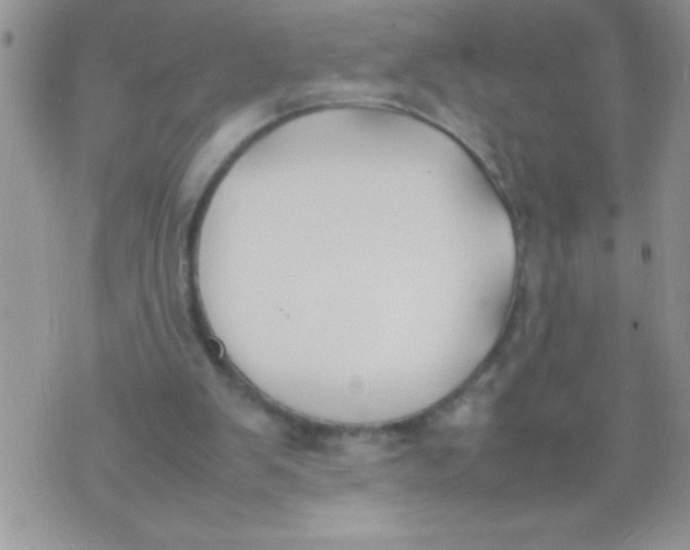 X0000074310103200609152017