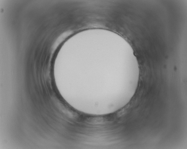 X0000074310104200609152017