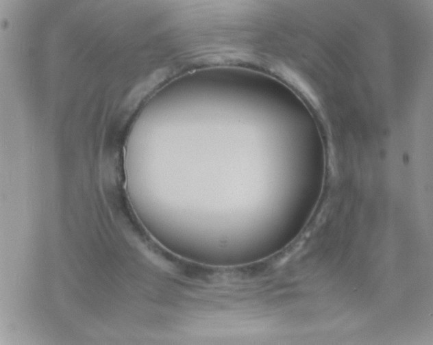 X0000074310105200609152017