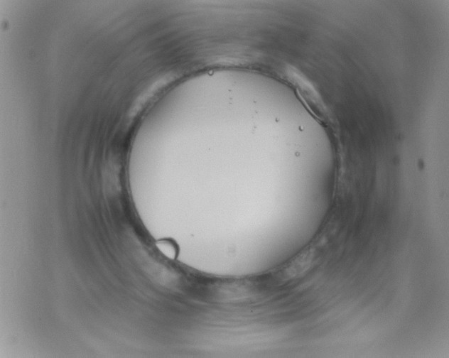 X0000074310106200609152017