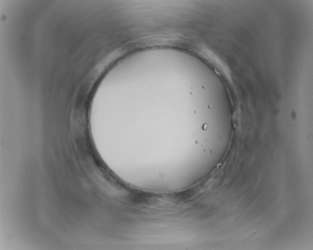 X0000074310107200609152017