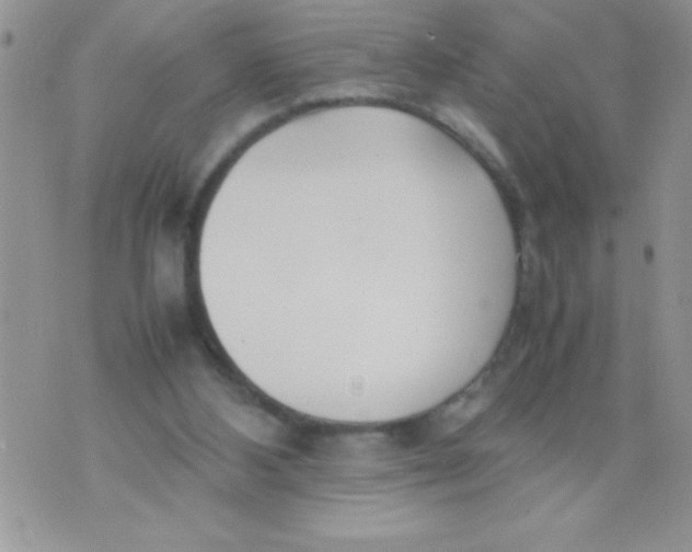 X0000074310108200609152017