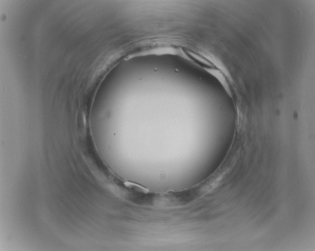 X0000074310109200609152017