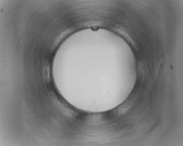 X0000074310110200609152017