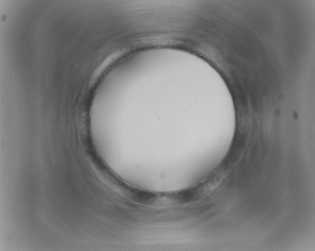 X0000074310111200609152017