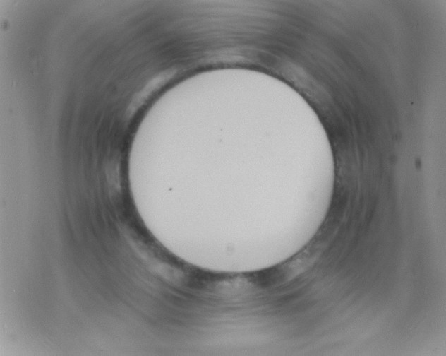 X0000074310112200609152017