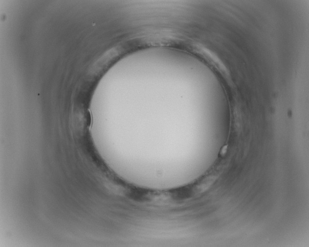 X0000074310113200609152017