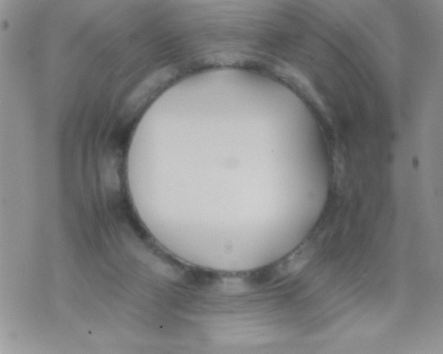 X0000074310114200609152017