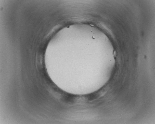 X0000074310115200609152017