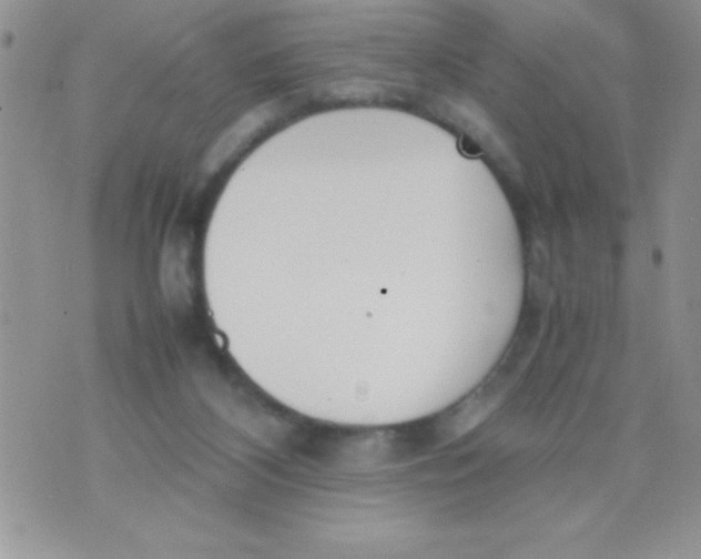 X0000074310116200609152017