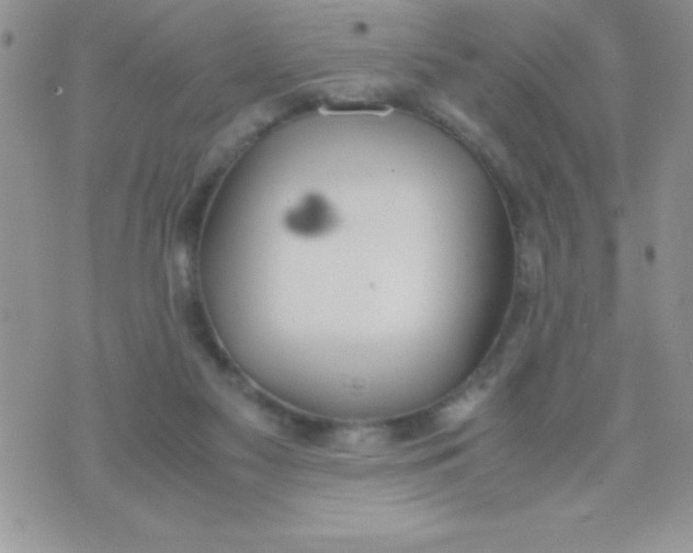 X0000074310117200609152017