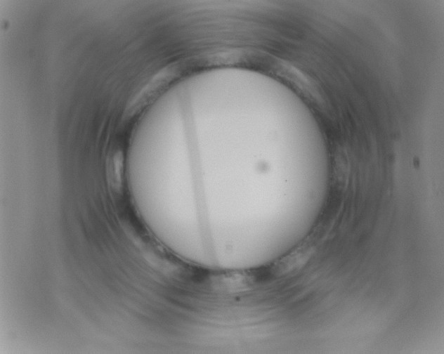 X0000074310118200609152017