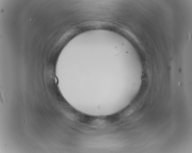 X0000074310119200609152016