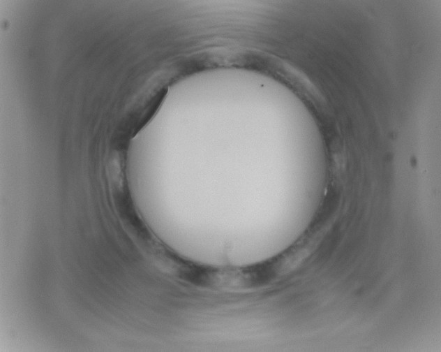 X0000074310121200609152016