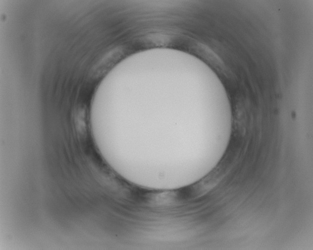 X0000074310122200609152016