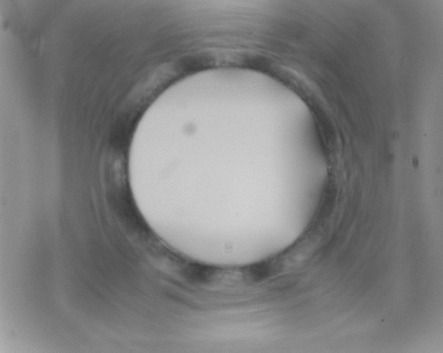 X0000074310123200609152016