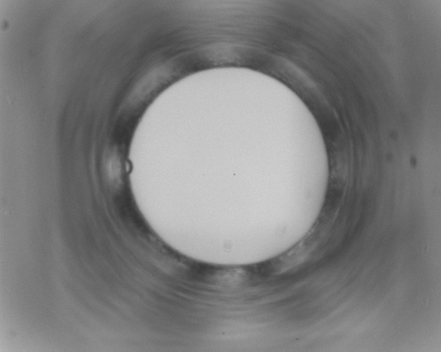 X0000074310124200609152016