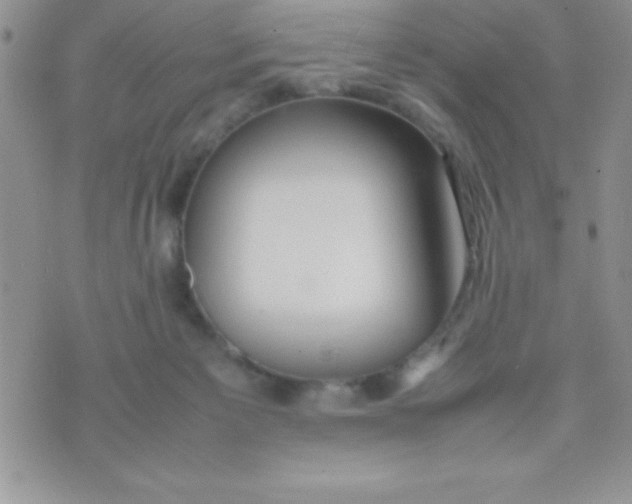 X0000074310125200609152016