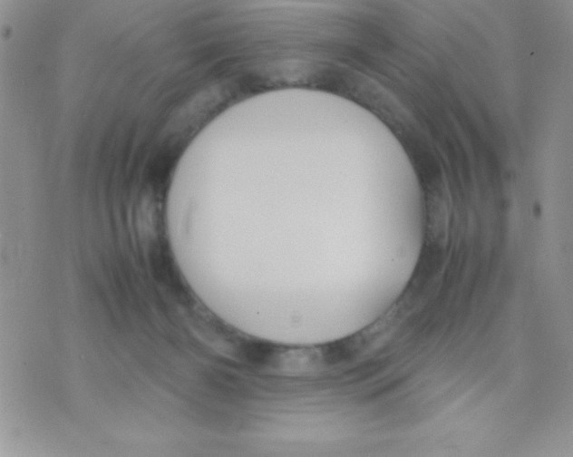 X0000074310126200609152016