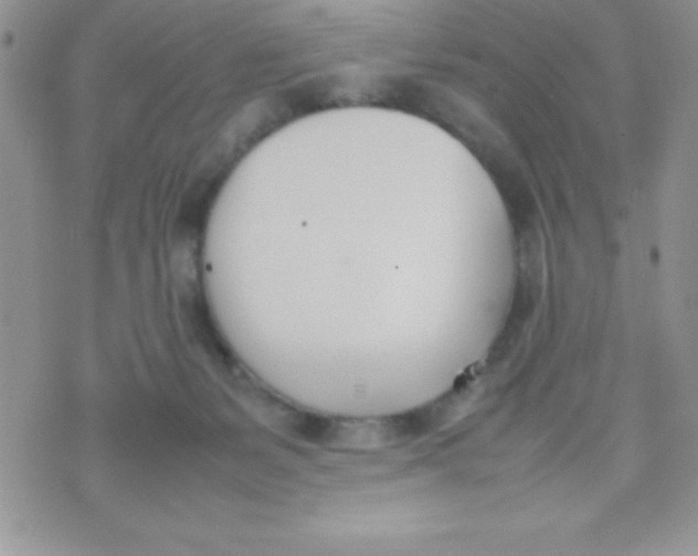 X0000074310127200609152016