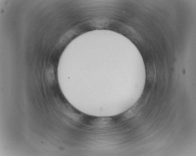 X0000074310128200609152016