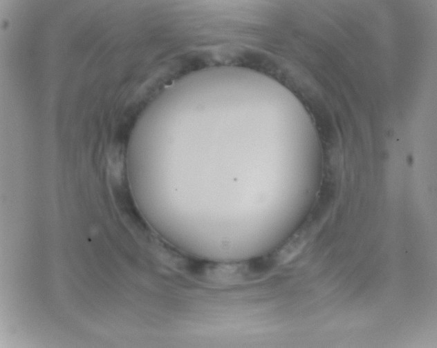 X0000074310129200609152016