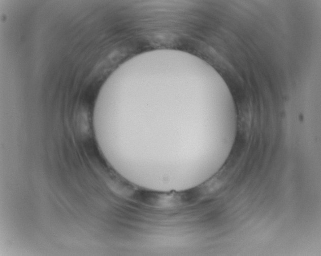 X0000074310130200609152016