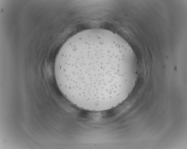 X0000074310131200609152016