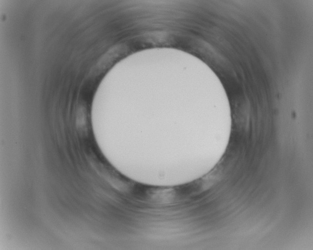 X0000074310132200609152016