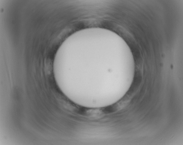 X0000074310133200609152016