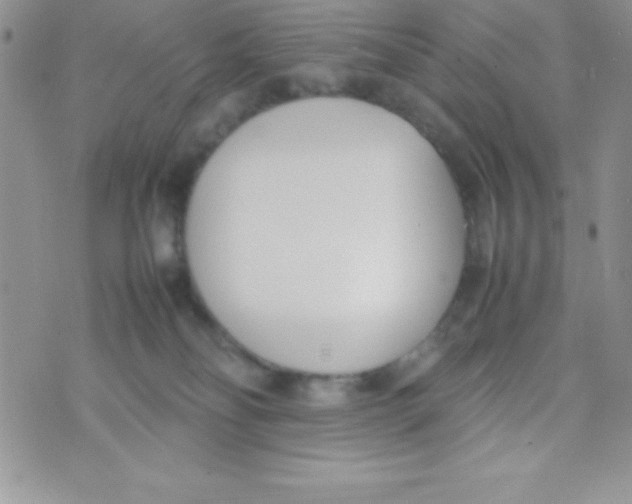 X0000074310134200609152016