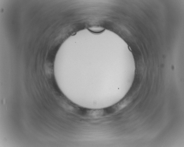 X0000074310135200609152016