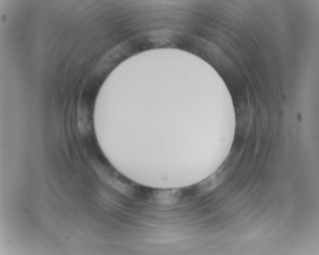 X0000074310136200609152016