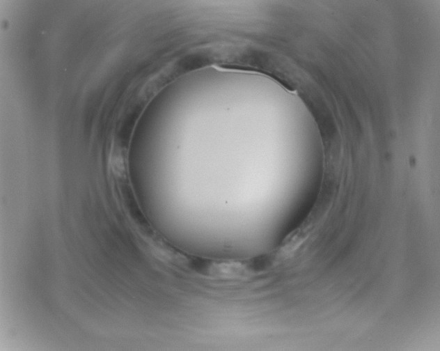 X0000074310137200609152016