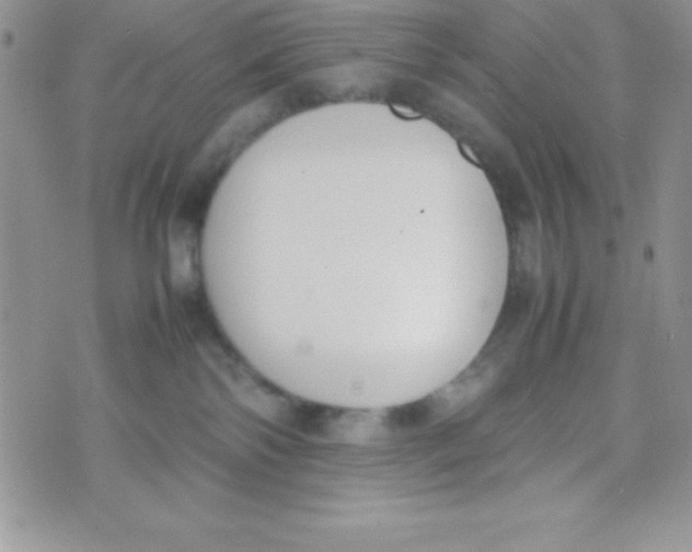 X0000074310138200609152016