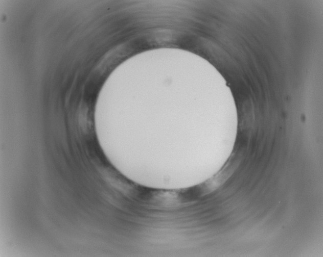 X0000074310140200609152016