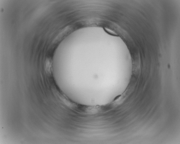 X0000074310142200609152016